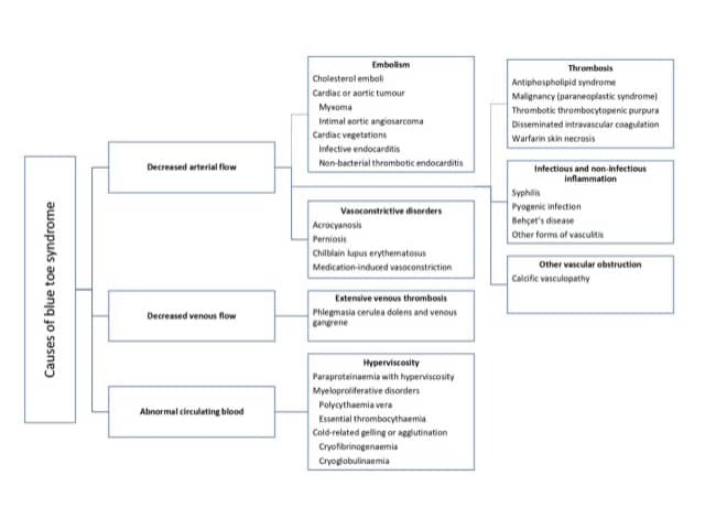 Adapted from Hirschmann JV, Raugi GJ. J Am Acad Dermatol 2009