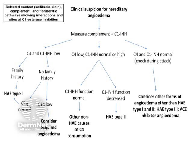 Clinical suspicion for hereditary angioedema