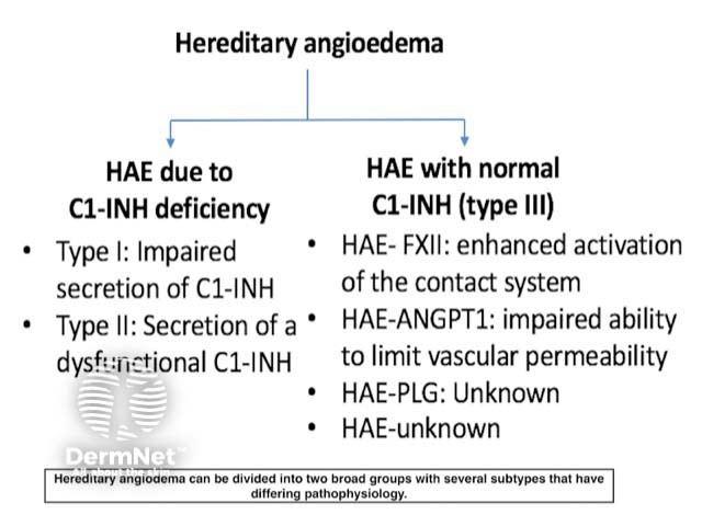 Types of hereditary angioedema