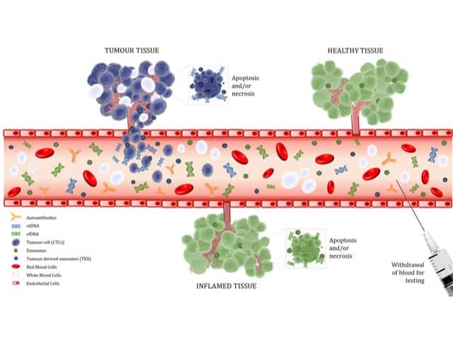 Biomarkers in bloodstream