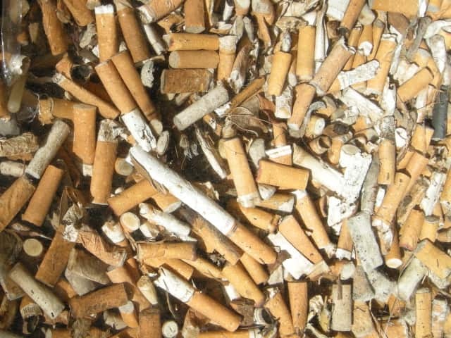 Cigarette butts