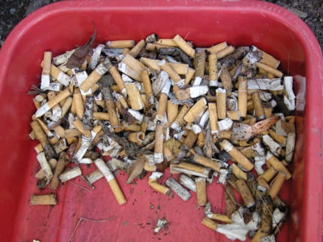 Cigarette butts