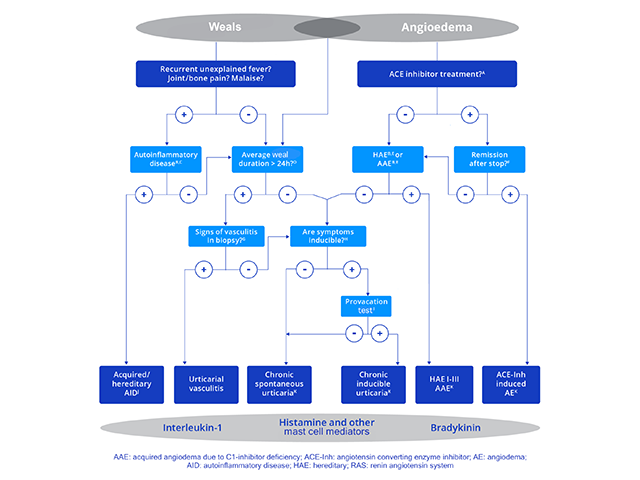 Figure 2 - Diagnostic algorithm for chronic urticaria