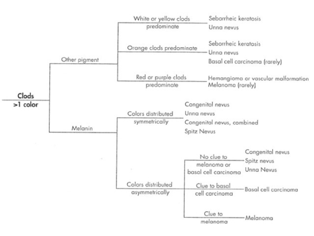 Figure 37b