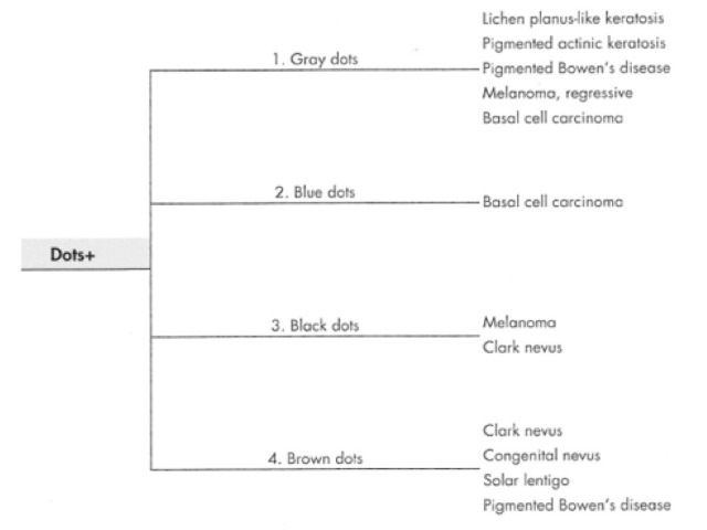 Figure 34b