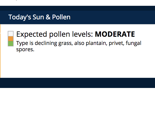 Pollen forecast 18 February 2019, Hamilton, New Zealand